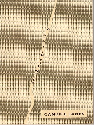 cover image of A Split In the Water